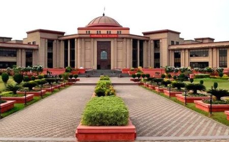 Chhattisgarh High Court on Noise Pollution: मौजूदा नियम सख्ती से लागू करने के निर्देश
